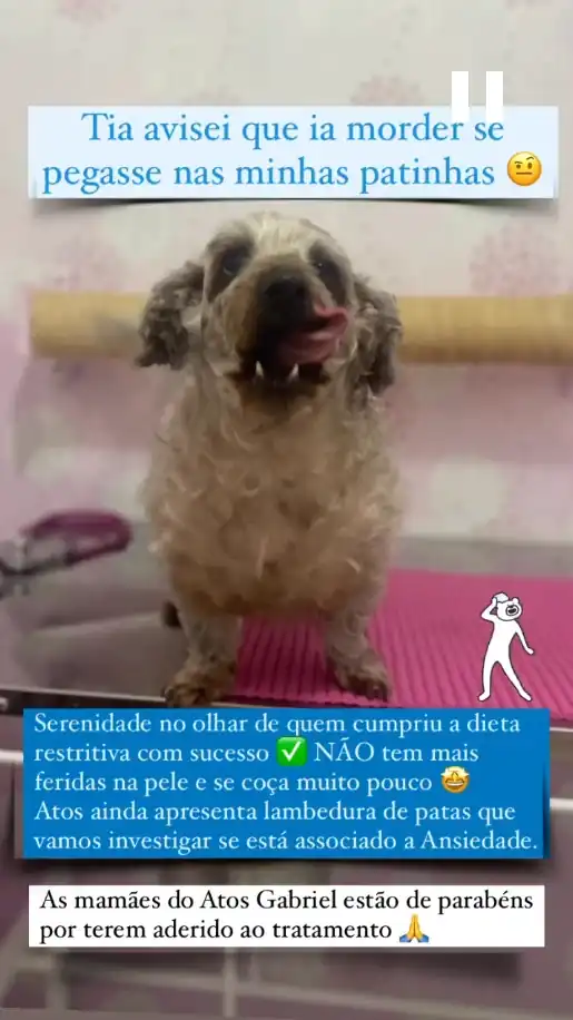 Depoimento WhatsApp - Lúcia e Benito curados da dermatite